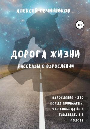 Обложка книги «Дорога жизни» — Алексей Овчинников