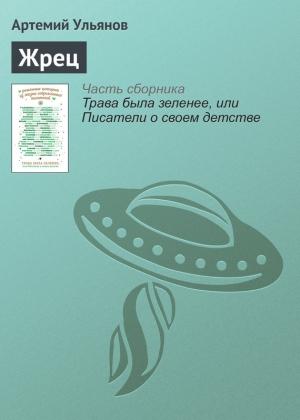 Обложка книги «Жрец» — Артемий Ульянов