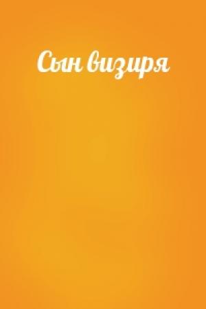 Обложка книги «Сын визиря»