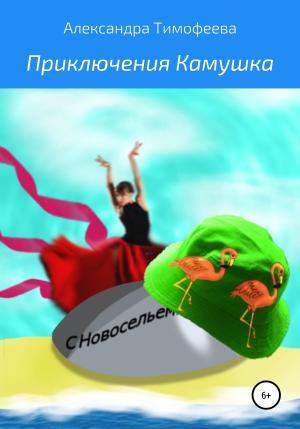 Обложка книги «Приключения Камушка» — Александра Тимофеева