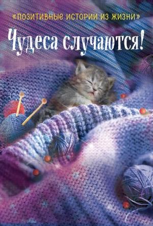 Обложка книги «Чудеса случаются!» — Наталья Шумак, Татьяна Чернецкая