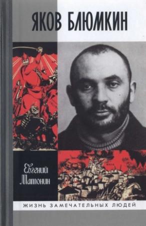 Обложка книги «Яков Блюмкин: Ошибка резидента» — Евгений Матонин