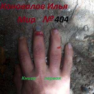 Обложка книги «Мир № 404» — Коновалов Илья