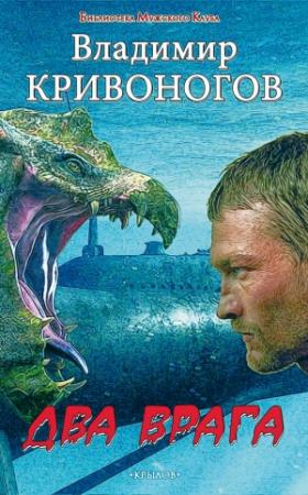 Обложка книги «Два врага» — Владимир Кривоногов