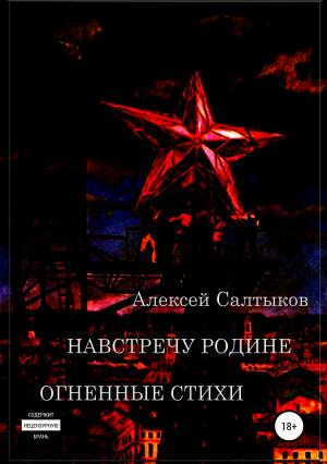 Обложка книги «Навстречу Родине. Огненные стихи» — Алексей Салтыков
