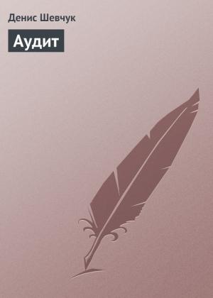 Обложка книги «Аудит» — Денис Шевчук
