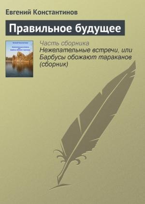 Обложка книги «Правильное будущее» — Евгений Константинов