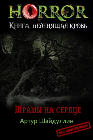 Обложка книги «Шрамы на сердце» — Артур Шайдуллин