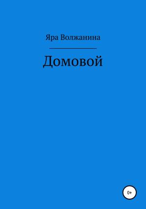 Обложка книги «Домовой» — Яра Волжанина