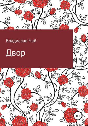 Обложка книги «Двор» — Владислав Чай
