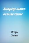 Игорь Зенин - Запредельное осмысление
