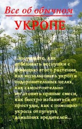 Обложка книги «Все об обычном укропе» — Иван Дубровин