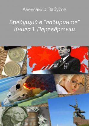 Обложка книги «Бредущий в «лабиринте». Книга 1. Перевёртыш» — Александр Забусов