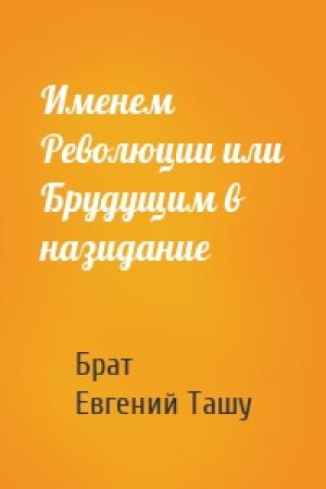 Обложка книги «Именем Революции или Брудущим в назидание» — Брат, Евгений Ташу