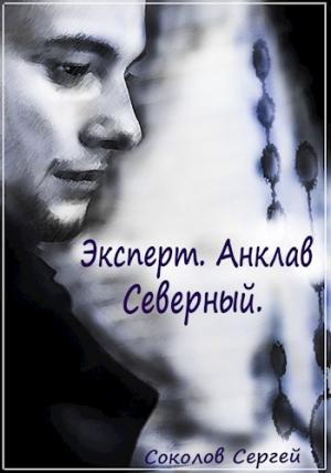 Обложка книги «Анклав Северный» — Сергей Соколов