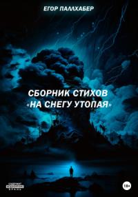 Егор Паллхабер - Сборник стихов «На снегу утопая»