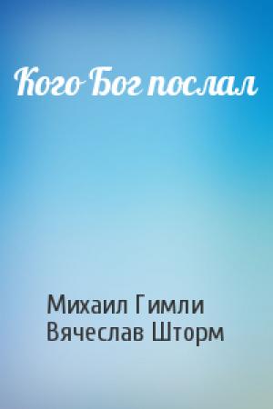 Обложка книги «Кого Бог послал» — Михаил Гимли, Вячеслав Шторм
