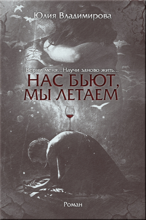 Обложка книги «Нас бьют, мы летаем...» — Юлия Владимирова