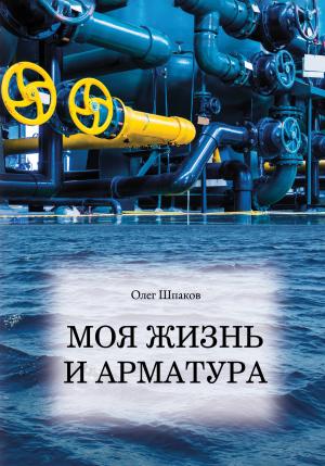 Обложка книги «Моя жизнь и арматура» — Олег Шпаков