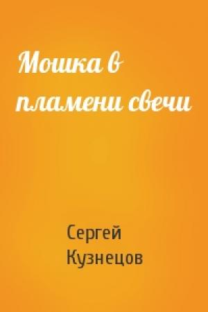 Обложка книги «Мошка в пламени свечи» — Сергей Кузнецов