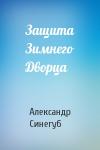 Александр Синегуб - Защита Зимнего Дворца