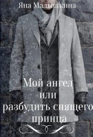 Обложка книги «Мой ангел или разбудить спящего принца» — Яна Малышкина