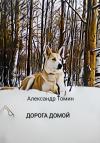 Александр Томин - Дорога домой