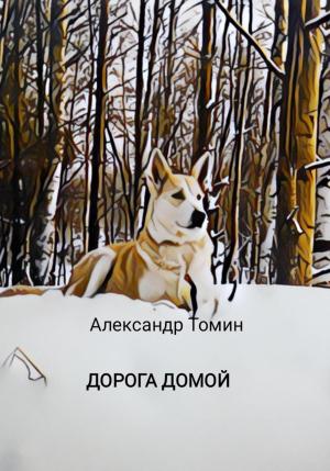 Обложка книги «Дорога домой» — Александр Томин