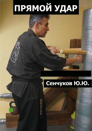 Обложка книги «Прямой удар» — Юрий Сенчуков