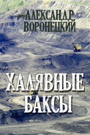 Обложка книги «Халявные баксы» — Александр Воронецкий