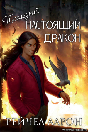 Обложка книги «Последний настоящий дракон» — Рэйчел Аарон