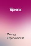 Максуд Ибрагимбеков - Крысы