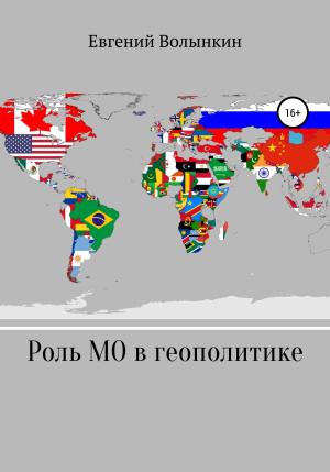 Обложка книги «Роль международных организаций в современной геополитике» — Евгений Волынкин