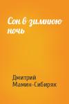 Дмитрий Мамин-Сибиряк - Сон в зимнюю ночь
