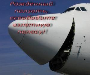 Обложка книги «Рожденный ползать, освободите взлетную полосу»