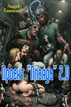 Обложка книги «Проект "Плеяда" 2.0» — Андрей Каминский