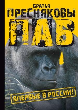 Обложка книги «Паб» — Олег Пресняков