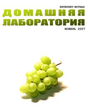 Обложка книги «Интернет-журнал "Домашняя лаборатория", 2007 №11»