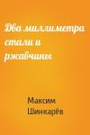 Максим Шинкарёв - Два миллиметра стали и ржавчины
