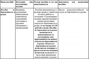 Обложка книги «Пособия на детей в 2008-2009 гг. Порядок оформления, учета и выплаты» — Татьяна Сергеева