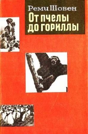 Обложка книги «От пчелы до гориллы» — Рени Шовен