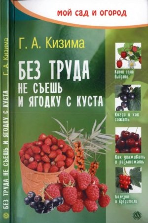 Обложка книги «Без труда не съешь и ягодку с куста» — Галина Кизима
