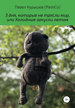 Обложка книги «3 дня, которые не трясли мир, или Холодные закуски летом» — Павел Курышев (PashCo)