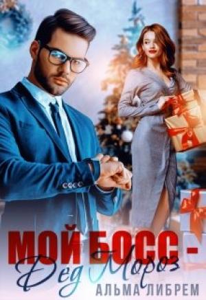 Обложка книги «Мой босс - Дед Мороз» — Альма Либрем