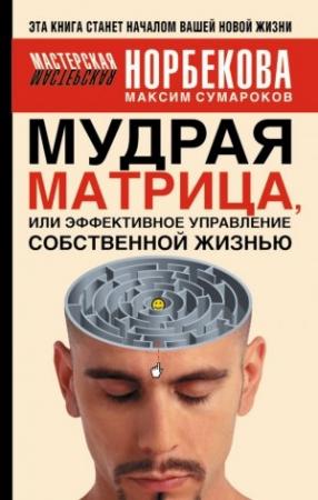 Обложка книги «Мудрая матрица, или Эффективное управление собственной жизнью» — Максим Сумароков