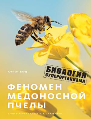 Обложка книги «Феномен медоносной пчелы. Биология суперорганизма» — Юрген Тауц