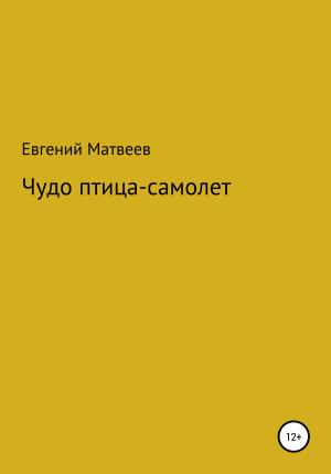 Обложка книги «Чудо птица-самолет» — Евгений Матвеев