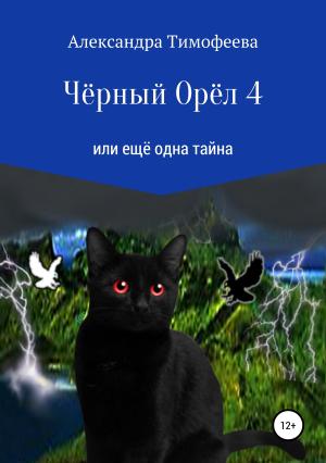 Обложка книги «Чёрный Орёл 4 или ещё одна тайна» — Александра Тимофеева