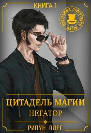 Обложка книги «Цитадель Магии: Негатор» — Олег Олегович Рипун