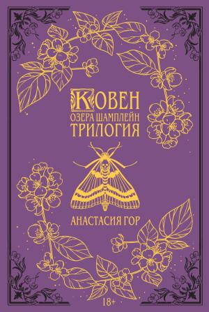 Обложка книги «Ковен озера Шамплейн» — Анастасия Гор